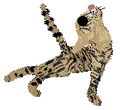 Profile image of Ferality's Lost My Marbles