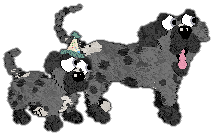 Profile image of King/Witz's Personal Cost