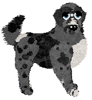 Perfume/Witz's Follow a Lead — “Bekhah”