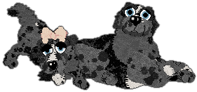 Profile image of Perfume/Witz's Follow a Lead