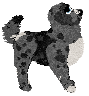 Perfume/Witz's Follow a Lead — “Bekhah”