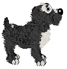 King/Witz's Still in the Game — “Charter”