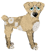 Profile image of Witz/FK's Vanilla Cream Drizzle