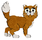 King's Foxtrot Tango at Ferality — “Tango”