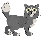 HK's Locked Up at Wild Road — “Felon”