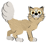 Starfrost's Fenneca at Wild Road — “Fenneca”