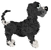 Profile image of Chamme/King's First One's Free