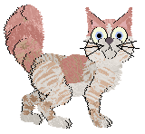 Perfume Dream Warehouse — “Sherbina”