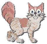 Profile image of Perfume Dream Warehouse