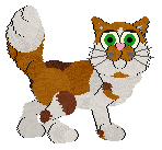 Profile image of Witz/King's Personality Disorder