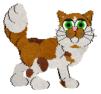 Witz/King's Personality Disorder — “Complex”