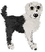 King's Model At Its Bests at Wild Road — “Wessewyn”