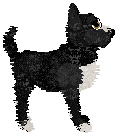 Sz's Purgatory at Wild Road — “Leviathan”