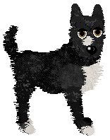 Profile image of Sz's Purgatory at Wild Road