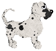 Funfetti/King's Dot and Spot — “Dotness”