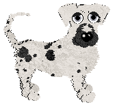 Funfetti/King's Dot and Spot — “Dotness”