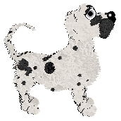 Profile image of Funfetti/King's Dot and Spot
