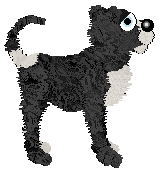 Profile image of Freefall/King's Moonlight Sonata