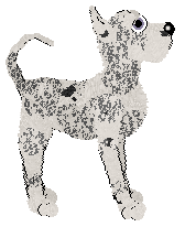 Amenity/King's Spooky Soul — “Ghostie”