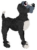 Profile image of Conifer/King's Does This Make Pluto an Animal or a Furry?