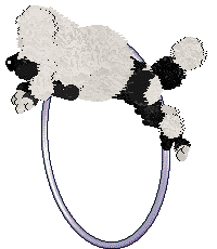 Poppyhill's Aqua Marina at Ferality — “Marina”