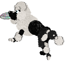 Poppyhill's Aqua Marina at Ferality — “Marina”