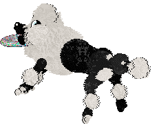 Poppyhill's Aqua Marina at Ferality — “Marina”