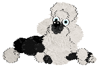 Poppyhill's Aqua Marina at Ferality — “Marina”