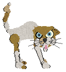 Xio/Mockingbird's Next In Line — “Caliph”