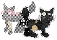 Profile image of Dh/Patchwork's One Shot, One Take