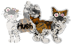 Profile image of Daisychain/Patchwork's Calm Before The Storm