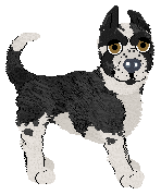 Ferality's Full of Zombies @ Mockingbird — “Cipher”