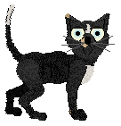 King/FDL's Stormbound Beauty — “Miranda”