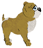 King/FDL's Caramel in the Rough — “Turbinado”