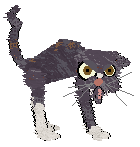 Spellbound/Tangled's Infinitely Stranger — “Holmes”