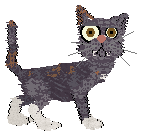 Spellbound/Tangled's Infinitely Stranger — “Holmes”