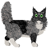 Ferality's Smoke Show — “Smoke”