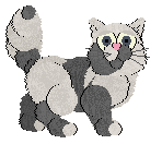 Profile image of Harvest/King's Comfy Blanket