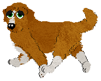 Sungraze/Mockingbird's Peppermint Moon — “Peppermint Moon”