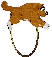 Sungraze/Mockingbird's Peppermint Moon — “Peppermint Moon”