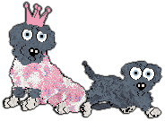 Profile image of King/Witz's Humble Summer