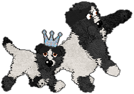 Profile image of King/Witz's Something Unusual