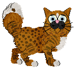 Calluna/Witz's The Trading Company — “Duluth”