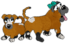 Profile image of King/Witz's An Opinion on Everything