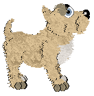 Profile image of EC/King's Soft Touch