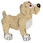 Profile image of Xoops/King's Bottle of Scotch