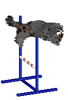 Ferality's Clueless — “Cher”