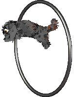 Ferality's Clueless — “Cher”