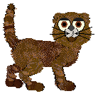 EC's Twice Shy — “Fawn”