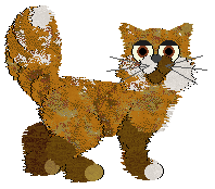 EC's Golden Grahams — “Graham”